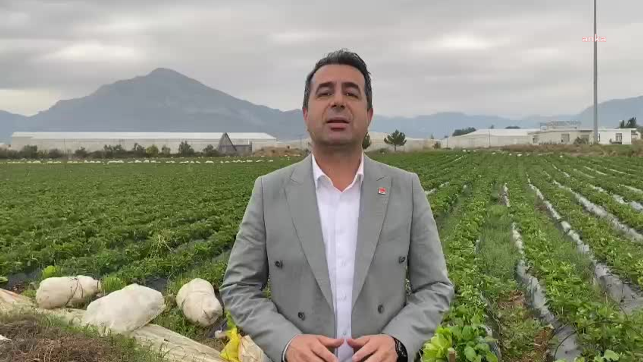 CHP’li Erhan Adem'den deprem bölgesinde narenciye üreticisine 1 TL desteğe tepki