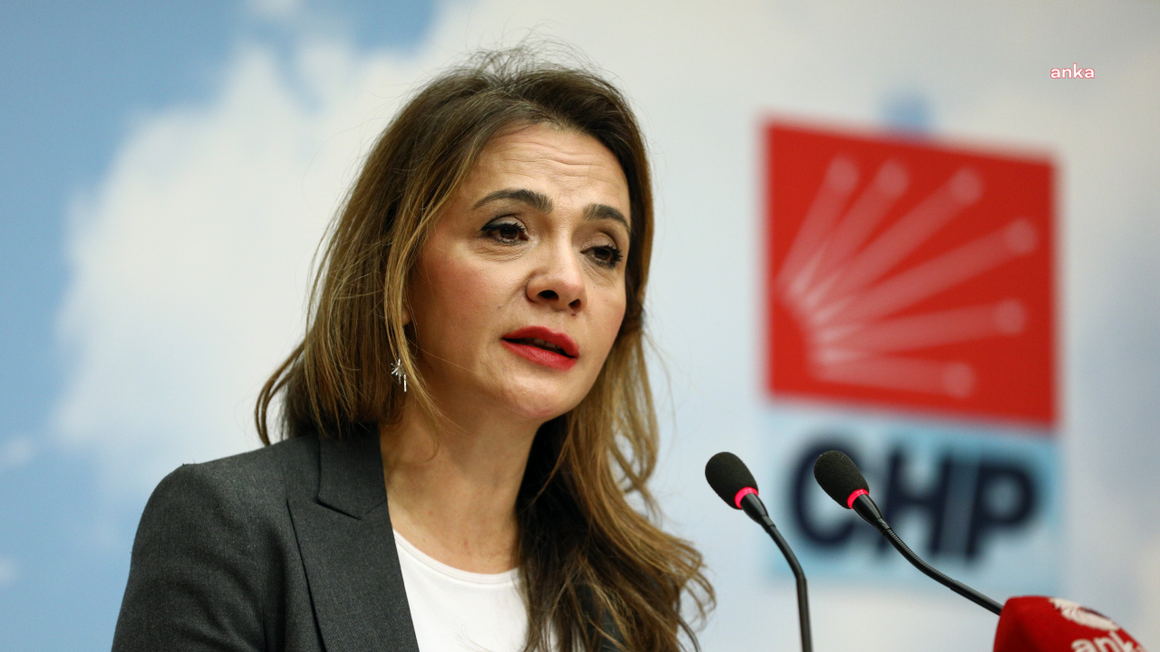 Gamze Akkuş İlgezdi son 10 yılın kadına şiddet bilançosunu açıkladı