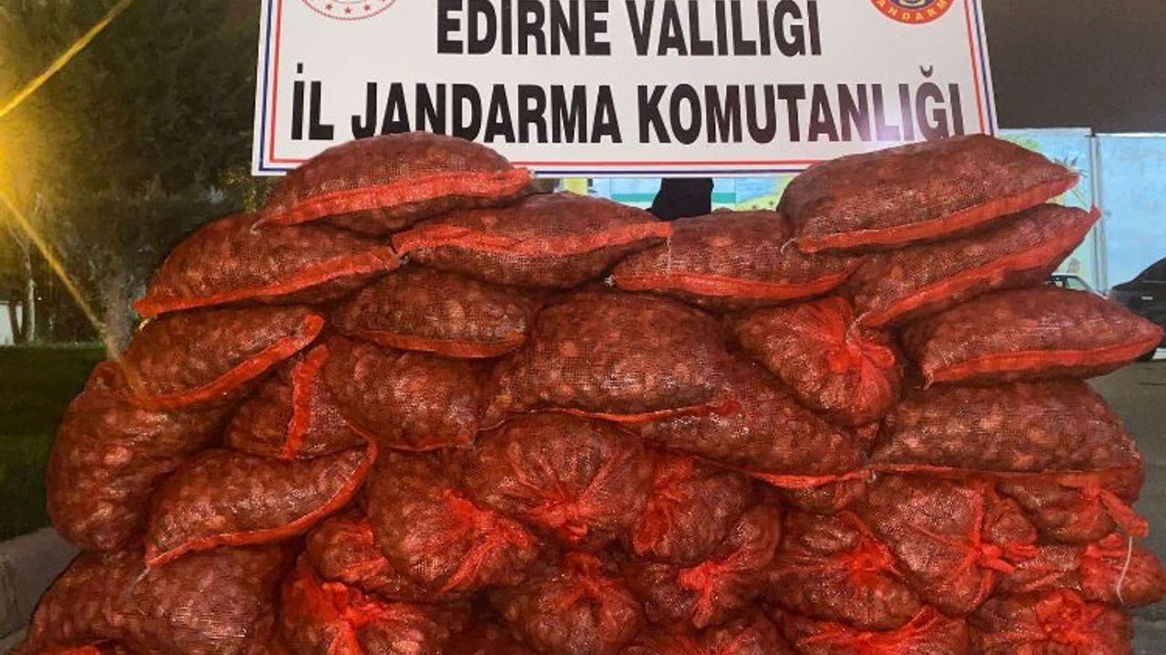 Edirne Jandarması 600 kilogram kaçak midye ele geçirdi