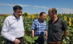 Gaytancıoğlu: Ayçiçeği taban fiyatı en az 20 TL olmalı