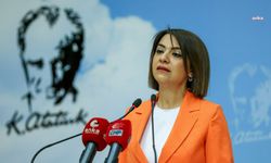 Gamze Taşcıer'den 'çalışma meclisi' eleştirisi