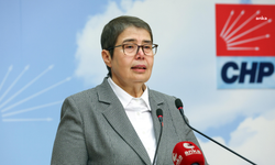 CHP’li Zeliha Aksaz Şahbaz'dan ücretsiz menenjit aşısı önerisi