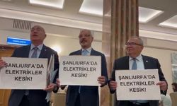 TBMM'de milletvekilleri Şanlıurfa'da yaşanan elektrik kesintilerini protesto etti