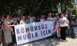 Muğla'da Kemerköy Termik Santrali’nin kapatılması için açılan dava reddedildi