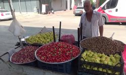 Bir tane incirin fiyatının 15 lira olmasına tepki gösteren vatandaş: "Ben bunu nasıl alıp yiyeceğim?"