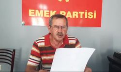 Emek Partisi'nden fındık fiyatına tepki: "Dağ fare doğurdu, üretici yine mağdur"