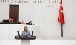 CHP'li Öneş Derici: "İsraf öncelik haline gelmiş"