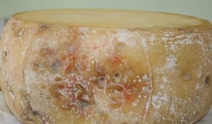 Kırklareli eski kaşarı tescillendi