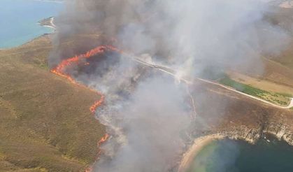 Avşa Adası'nda yangın