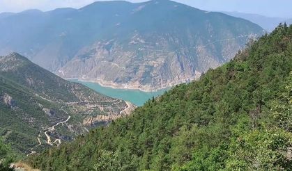 Artvin'e Yapılması İstenen  Altın Madeni Talanına Köylülerden Tepki