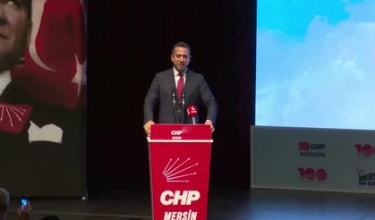 Ali Mahir Başarır: "Delege irade ortaya koyacaksa hiç kimseyi hedef göstermek kimsenin haddi değildir"