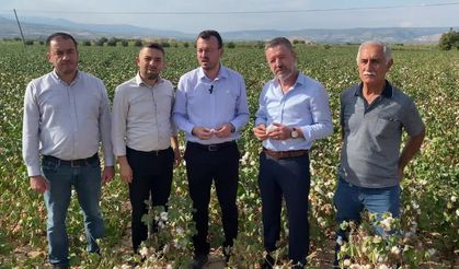 Pamuk üreticisinden iktidara çağrı