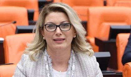 CHP'li Kaya: "Hastaneler yapıyorsunuz ama daha yolunu planlamıyorsunuz"