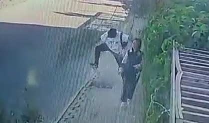 Liseli gencin zeytin ağacına öfkesi kameralara yansıdı!