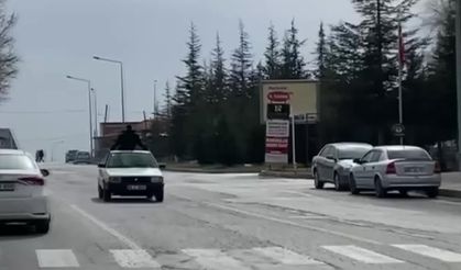 Aracın tavanındaki yolculuk acil serviste bitti