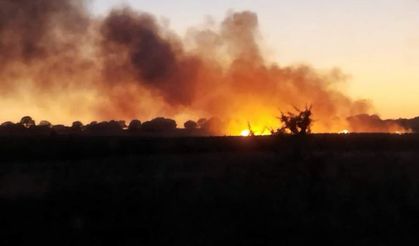Edirne İpsala’da 100 dekar buğday tarlası yandı