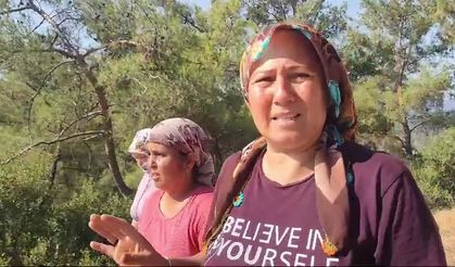 Akbelen’de köylülerin zeytinlikleri dikenli telle çevrildi