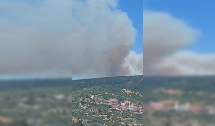 Manisa'nın Soma ilçesinde ormanlık alanda yangın çıktı