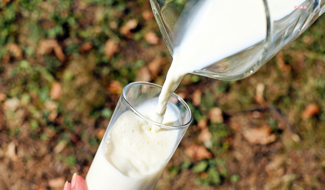 Ticari süt işletmelerince ocakta 915 bin 522 ton inek sütü toplandı