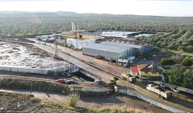 Ayvalık'taki pirina fabrikasının çevre izninin iptali için açılan davaya istinaftan ret kararı