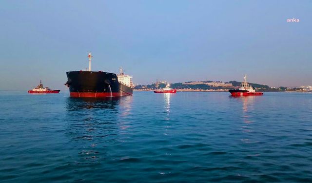 İstanbul'da kuru yük gemisi karaya oturdu, boğaz gemi trafiğine kapatıldı