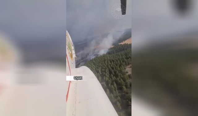 Bakan Yumaklı: "Uşak'taki orman yangını kontrol altına alındı"