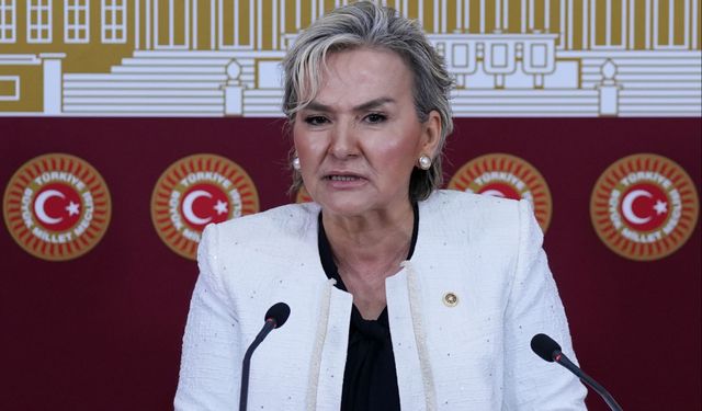 İYİ Parti İstanbul milletvekili Nimet Özdemir partisinden istifa etti