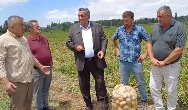 CHP'li vekil Ömer Fethi Gürer: "Patatesler, tarlada kaldı"