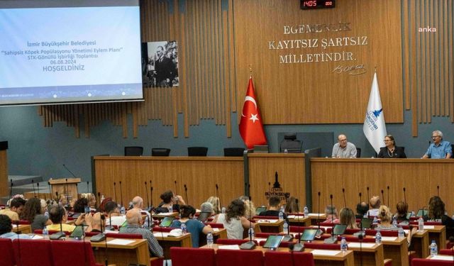 İzmir'de sokakta yaşayan canlar için eylem planı