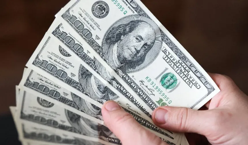 Dolar rekor tazeledi
