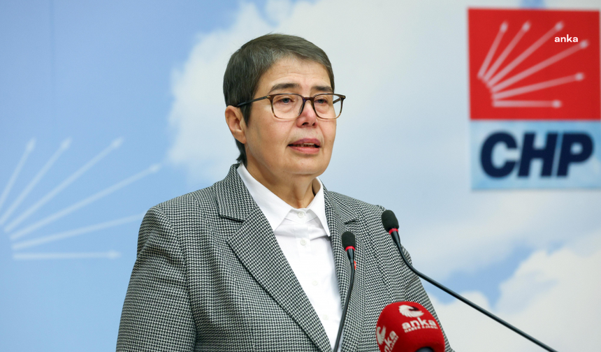 CHP’li Zeliha Aksaz Şahbaz'dan ücretsiz menenjit aşısı önerisi