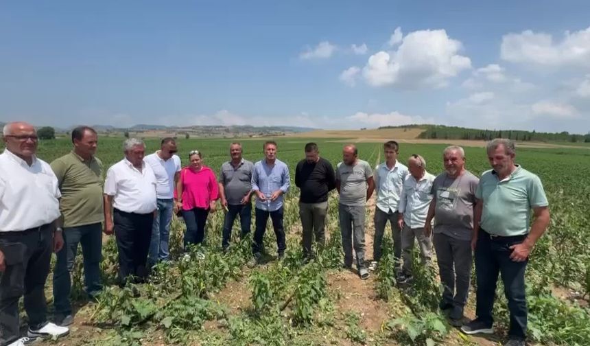 CHP’li Sarıbal dolunun vurduğu tarım alanlarını ziyaret ett