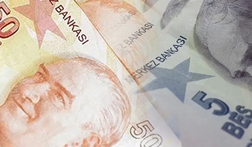 Merkez Bankası 5 ve 50 TL'lik yeni banknotları piyasaya sürdü